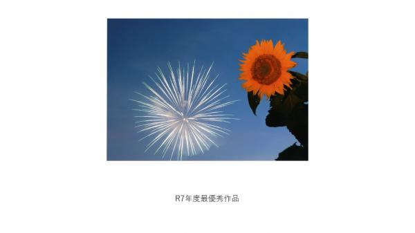 ひまわり写真作品