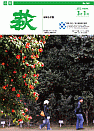 市報 萩 表紙